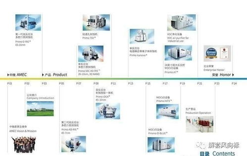 中国股市 十只龙头芯片企业,未来的10倍潜力牛股 名单